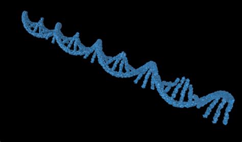 RNA Model 的图像结果