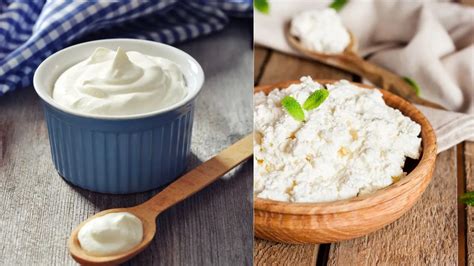 Greek Yogurt vs Cottage Cheese: Which High-Protein Snack Is Healthier ...