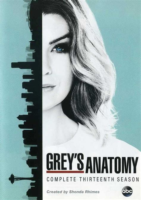 Grey's Anatomy: Complete Thirteenth Season: Amazon.in: Ellen Pompeo ...