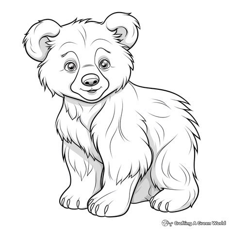 Bear Cub Coloring Pages - Free & Printable!