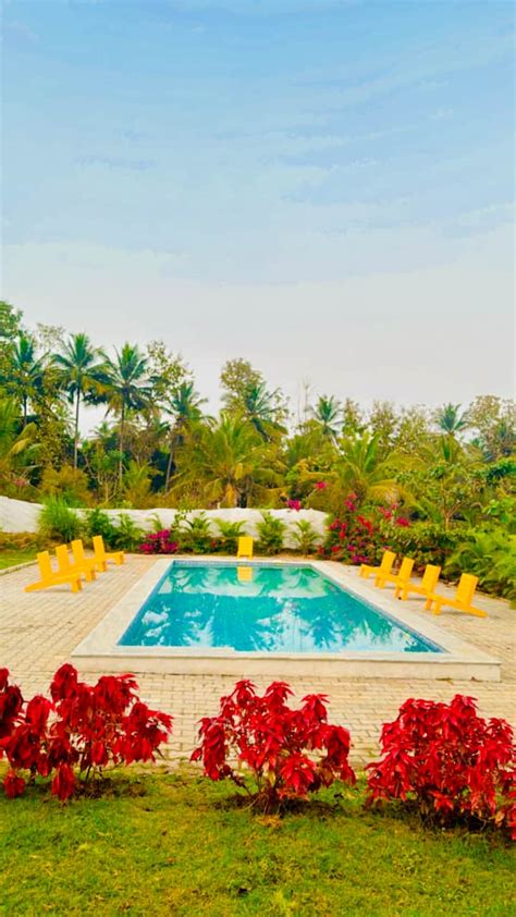 2.5 acres of lush green farms at Kanakapura Road - Farm stays for Rent ...