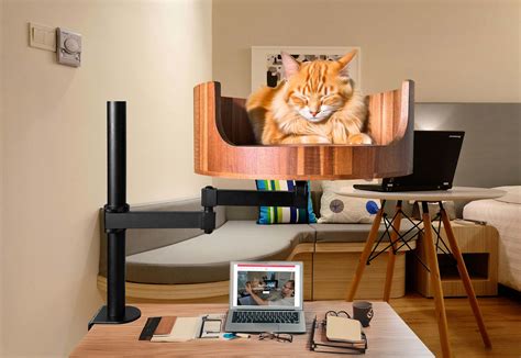 Cats Vomiting Clear Liquid: Causes and Solutions Explained – Desk Cat Nest