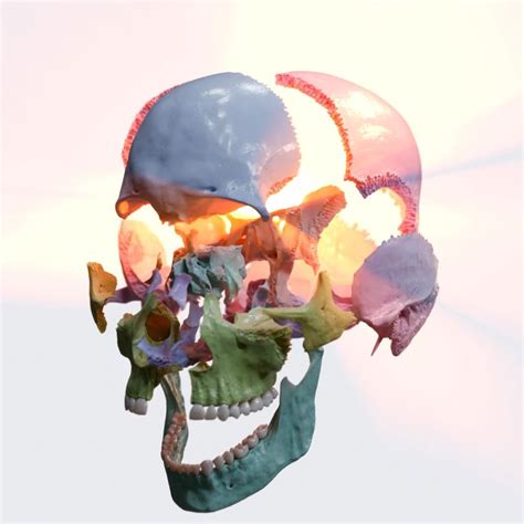 Image result for Exploding Skull