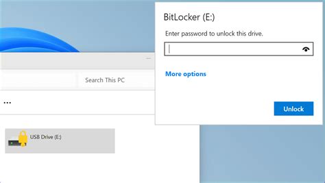 How to Unlock USB Drive BitLocker 的图像结果