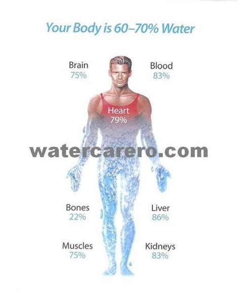 Water care Alkaline water - Water care Alkaline water Exporter ...