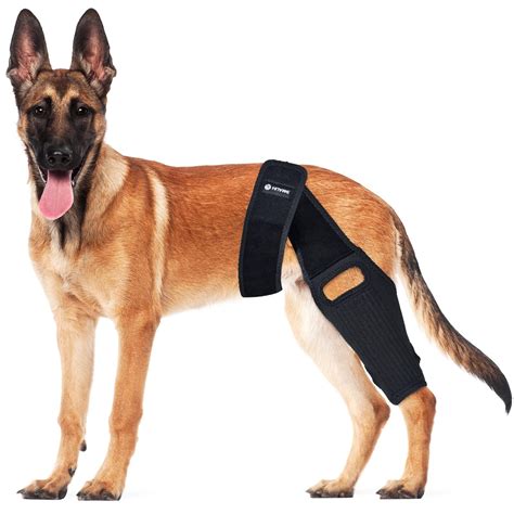 HUAME Dog Knee Brace, Dog Knee Brace for Torn ACL Hind Leg, Luxating Patella, Knee Cap ...