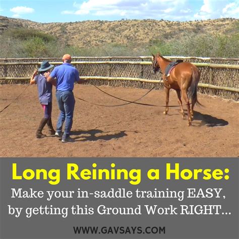 Image result for Reining Tutorials