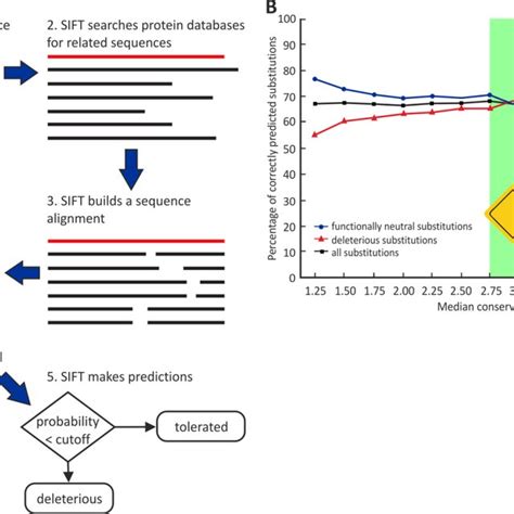 Image result for SIFT Algorithm Applications