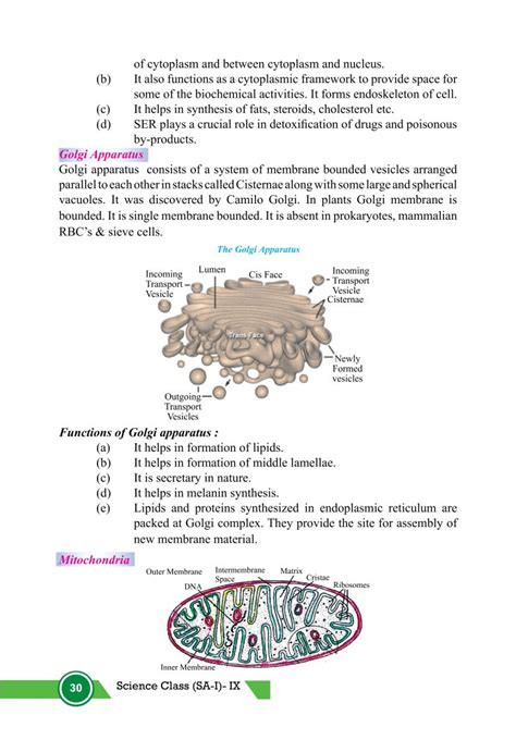 Image result for Class 9th Science Chapter 5 Cell Explanation