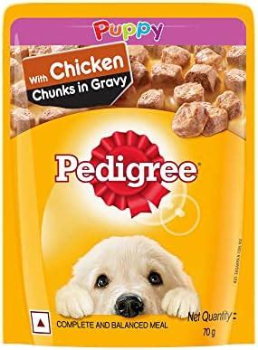 Pedigree Puppy Wet Dog Food, Chicken Chunks in Gravy Pouch, 70 g,Pack ...