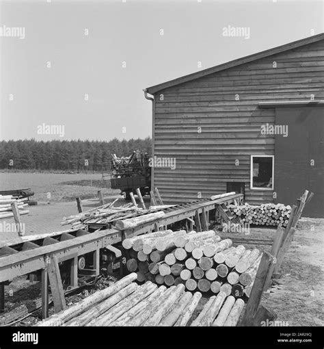 Image result for Wood Sorting System