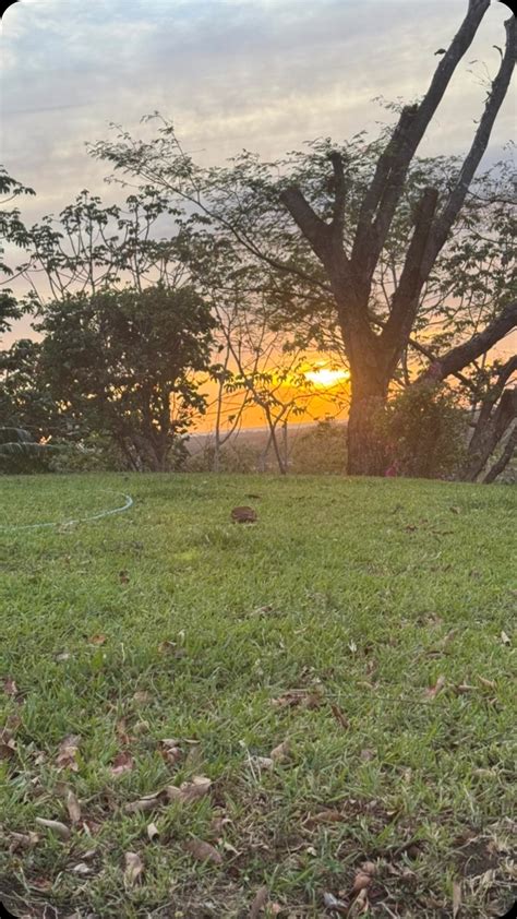 Flor Rodriguez (@505tati) • Instagram photos and videos