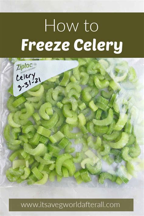 How to Freeze Celery - It's a Veg World After All®