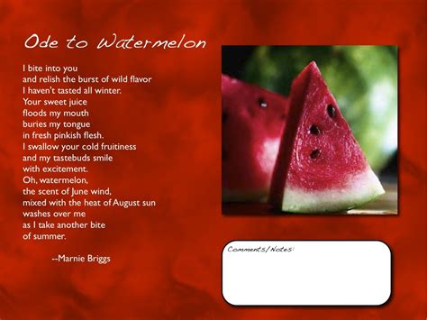 Exact Ode Example 的图像结果