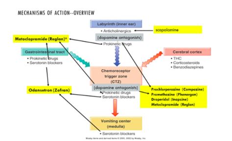 Wk. 9- Antiemetics (Zofran/Compazine/Phenergan/Inapsine/Reglan ...