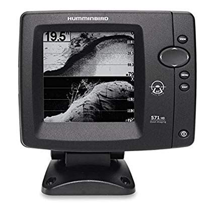 Image result for Hummingbird Fish