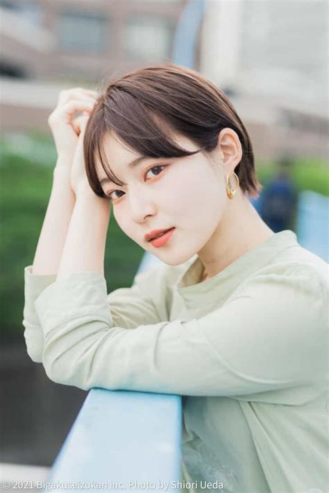 Image result for Linear Search in Python Flow Chart
