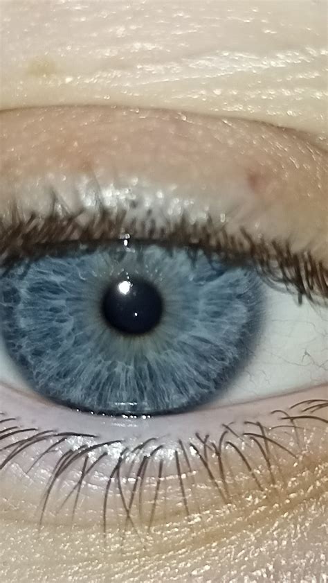 My son s dark steel blue eyes with a little central heterochromia – Artofit