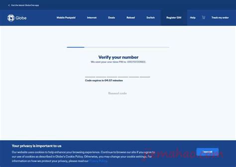 菲律宾globe 的图像结果