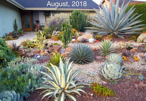Succulent Landscaping: A Guide to Creating a Beautiful and Low ...