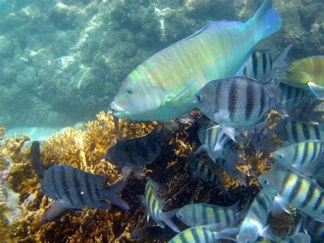 Barra Grande Photos - Featured Images of Barra Grande, Maragogi ...