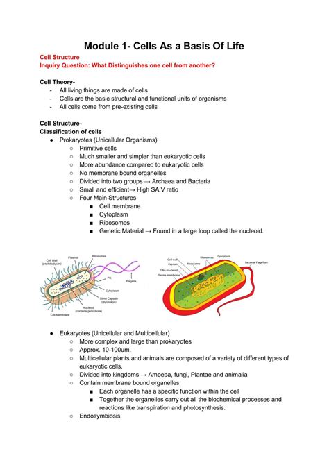 HSC Bio Notes 的图像结果