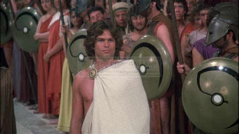 The Prop Gallery | Joppa royal guard shield