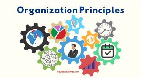 Image result for Organization development Principles
