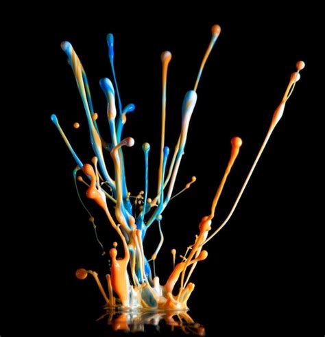 Color Explosion Paint Kit 的图像结果