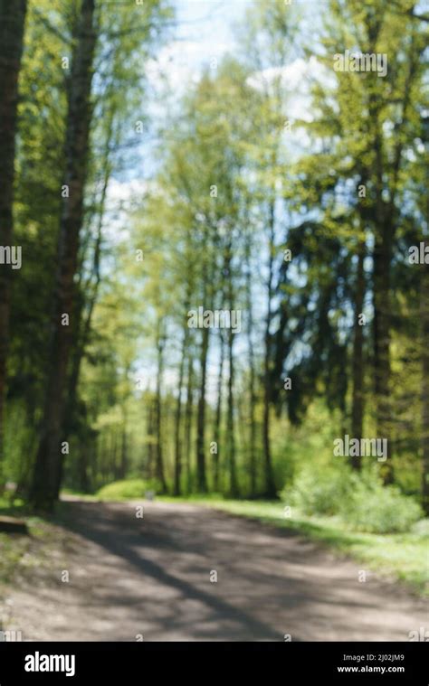 Road Path 的图像结果