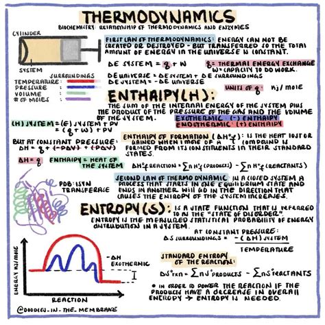 Image result for Difference Between Entropy and Enthalpy