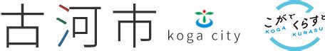 Image result for SQL Query