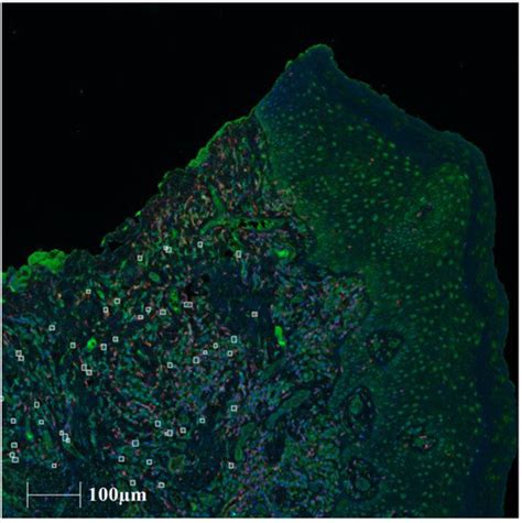 IJMS | Topical Collection : State-of-the-Art Molecular Mechanisms and ...