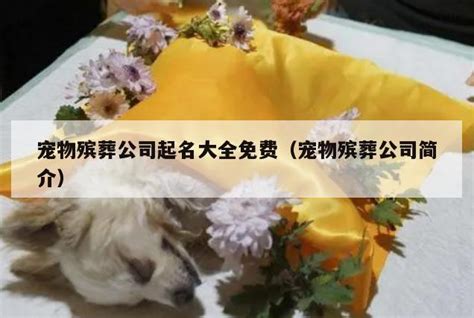 殡葬公司起名取名大全 - 中华取名网
