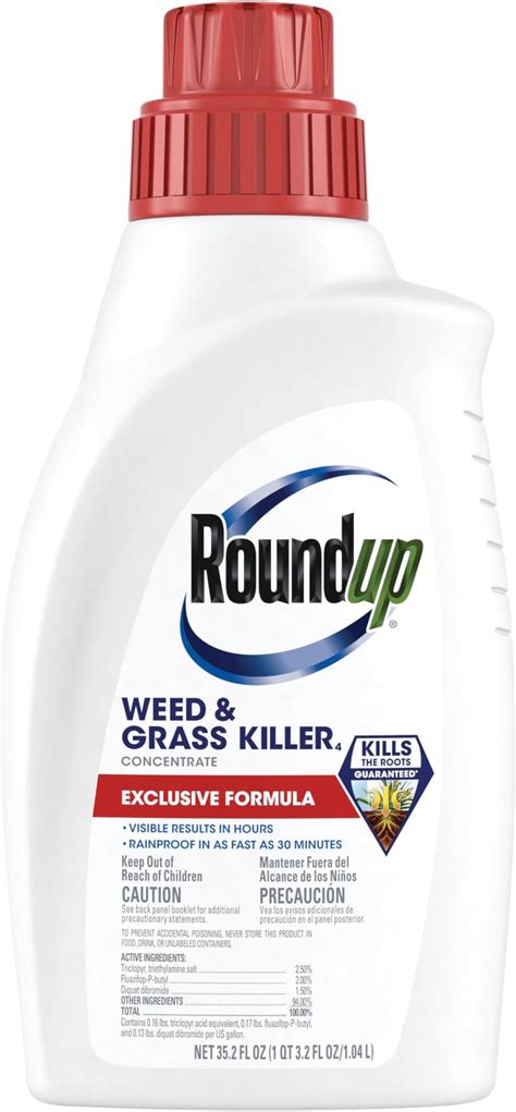 Amazon.com : Roundup Concentrate Poison Ivy Killer Plus Tough Brush ...