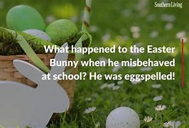 Image result for Easter Bunny Humor