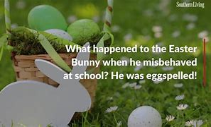 Image result for Humorous Happy Easter