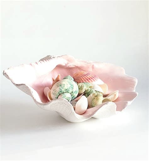 Clam Shell Bowl, Clam Shell, Coastal Decor, Beach Decor, Decorative Bowl, Clam Shell Bowl, Shell ...