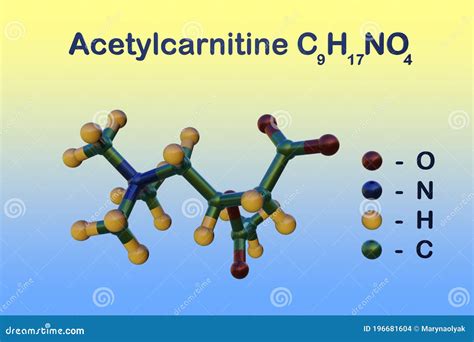 Acetylcarnitine Molecular Structure 3d, Flat Model, Acetyl-l-carnitine, Structural Chemical ...