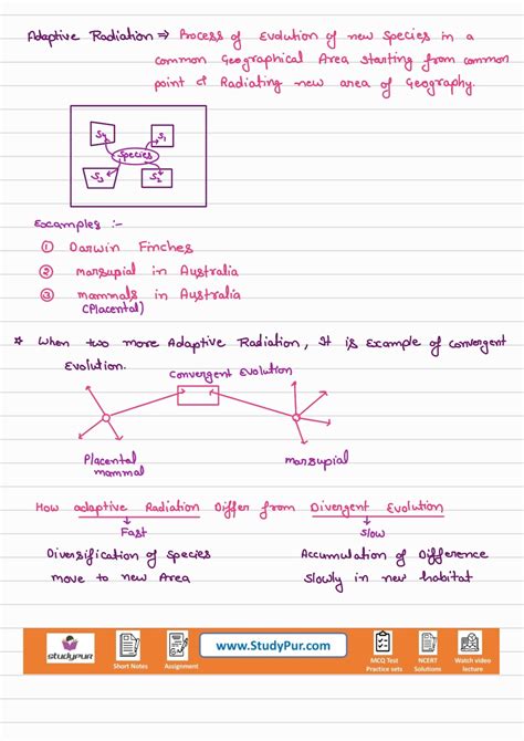 Image result for Class 12 Evolution