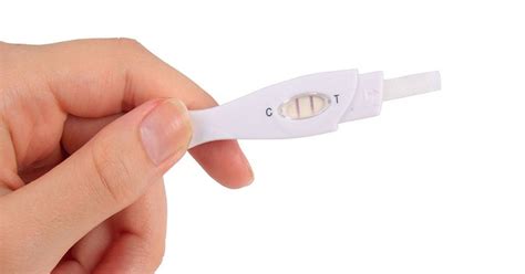Image result for Pregnancy Testing