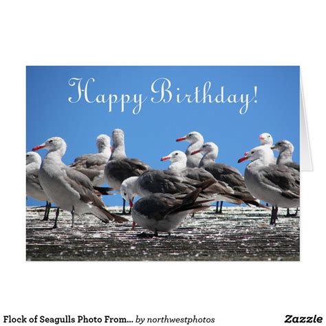 birthday card zazzle