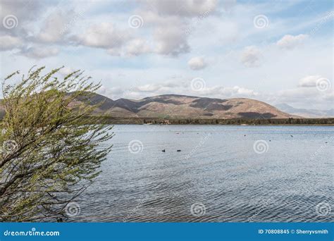Otay Lakes County Park Bushes, Mountains and Cloudy Sky Stock Image ...