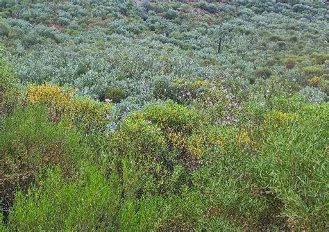 GAWLER RANGES NATIONAL PARK (2025) All You Need to Know BEFORE You Go ...