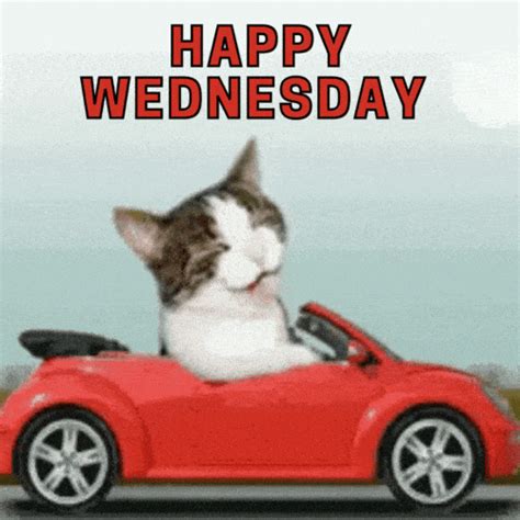 Animated Good Morning Happy Wednesday Gif Images Free Download