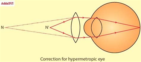 NCERT Solutions for Class 10 Science Chapter 11- The Human Eye and the ...