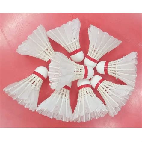 Shuttlecock 的图像结果