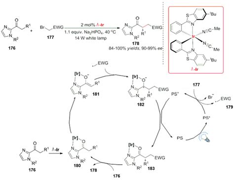 Visible Light Induced C-H/N-H and C-X Bonds Reactions