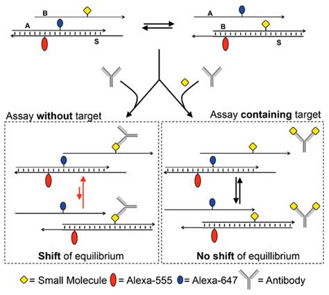 A DNA-Based Assay for Digoxin Detection