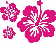 Image result for Hibiscus Flower Sticker